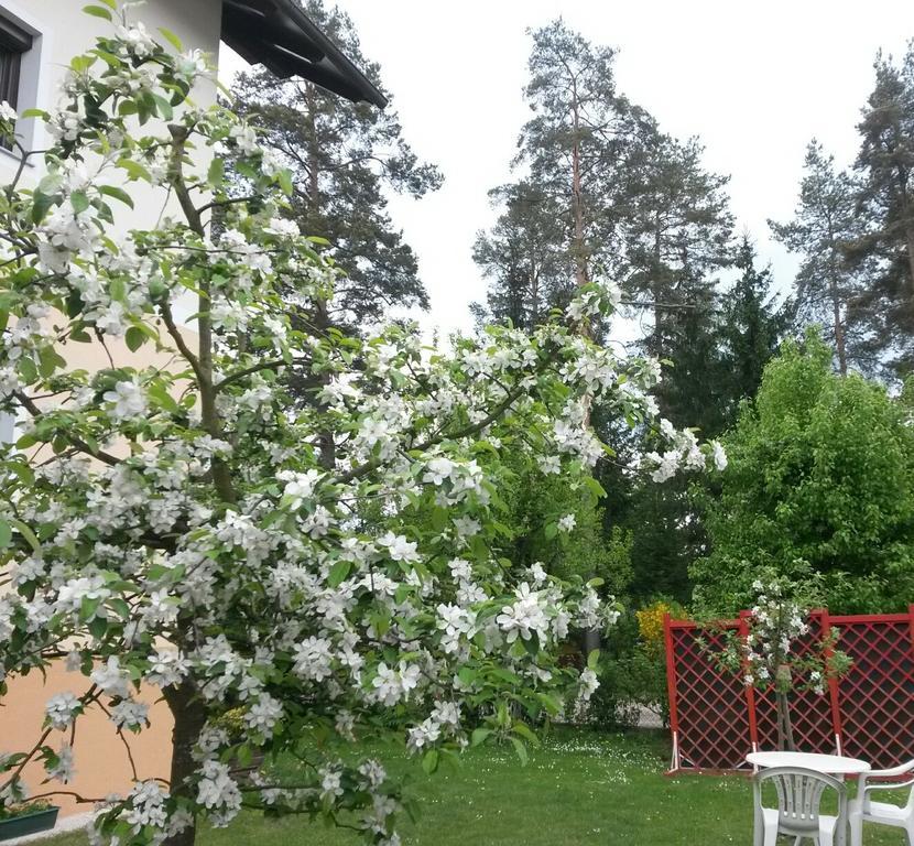 Ferienwohnung Kerth Sankt Kanzian am Klopeiner See المظهر الخارجي الصورة